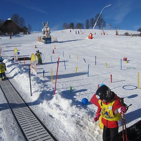 Abelhof Villa Schladming Bagian luar foto