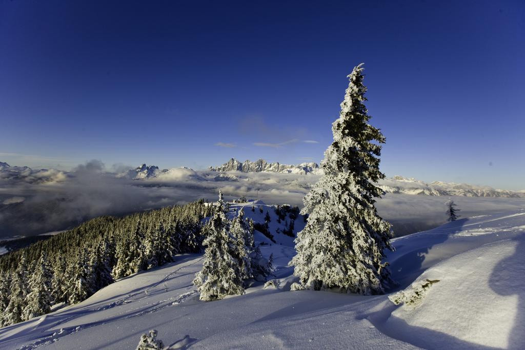 Abelhof Villa Schladming Bagian luar foto