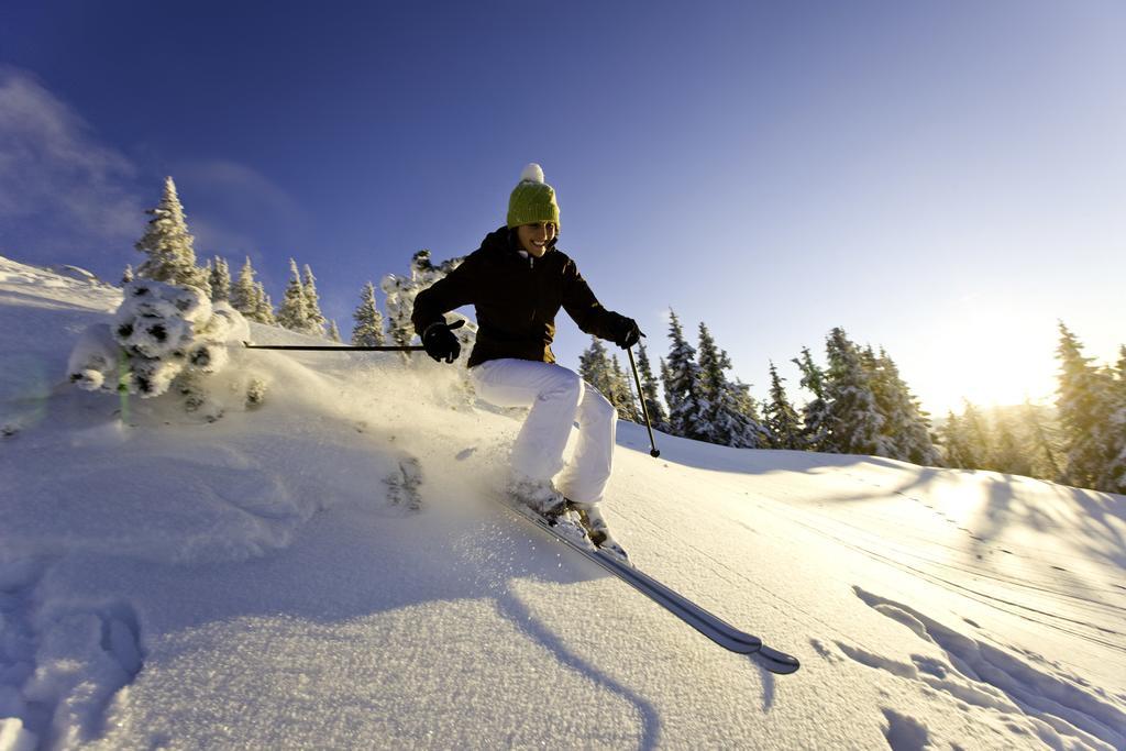 Abelhof Villa Schladming Bagian luar foto