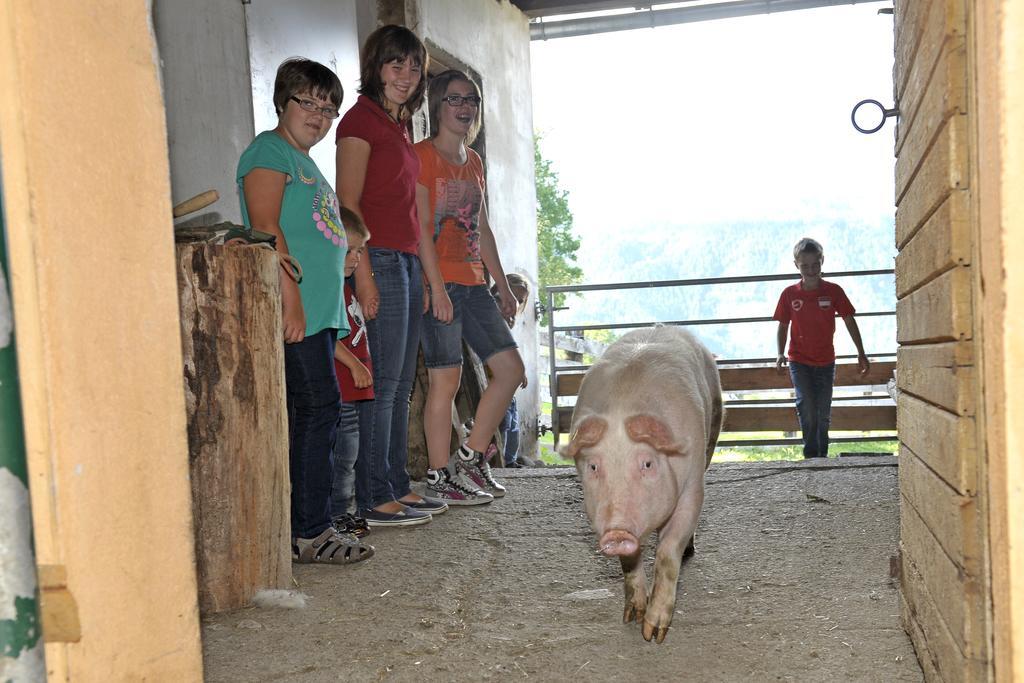 Abelhof Villa Schladming Bagian luar foto