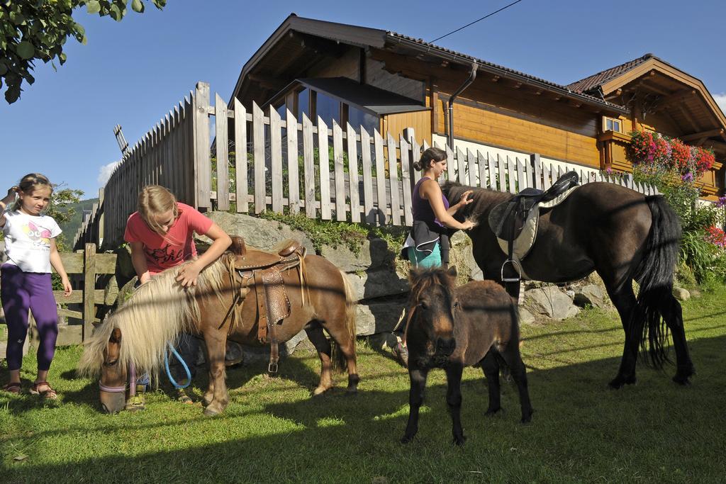 Abelhof Villa Schladming Bagian luar foto